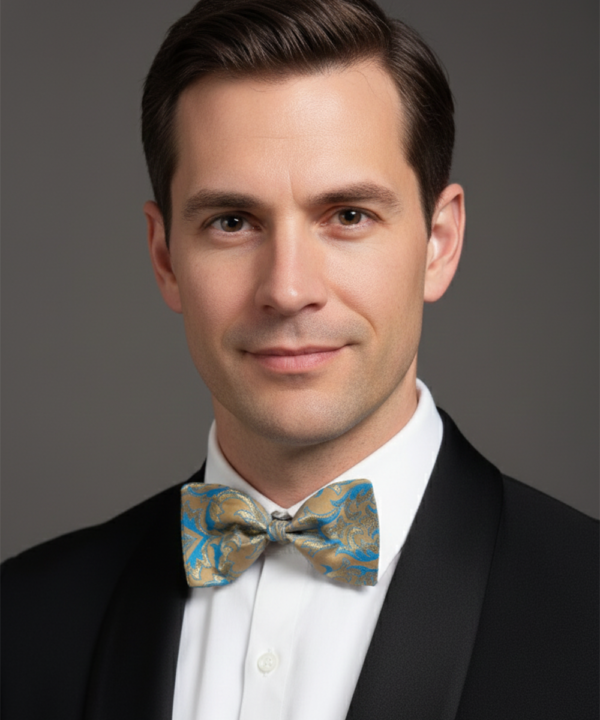 Elegant Brown and Blue Silk Bow Tie ? Formal Men?s Accessory